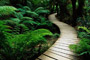 客户介绍